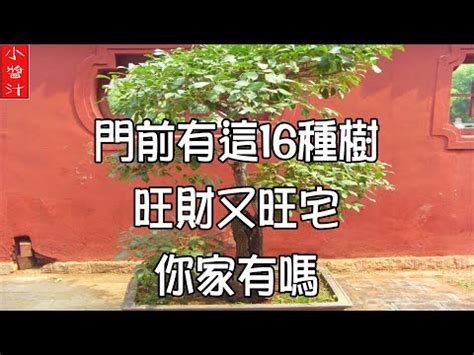 楓樹 風水|紅楓樹風水：旺宅秘訣